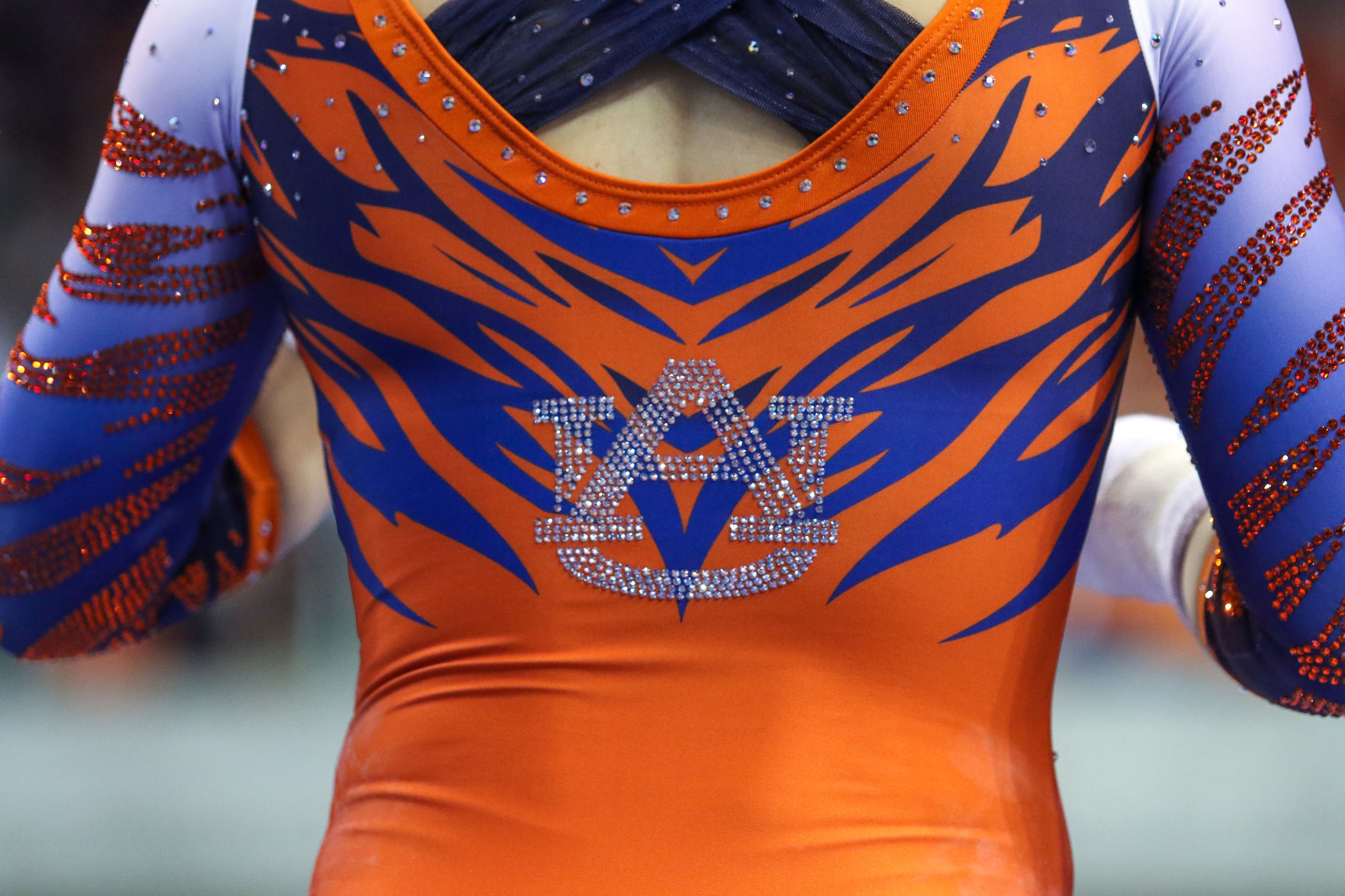 Auburn vs. Alabama gymnastics